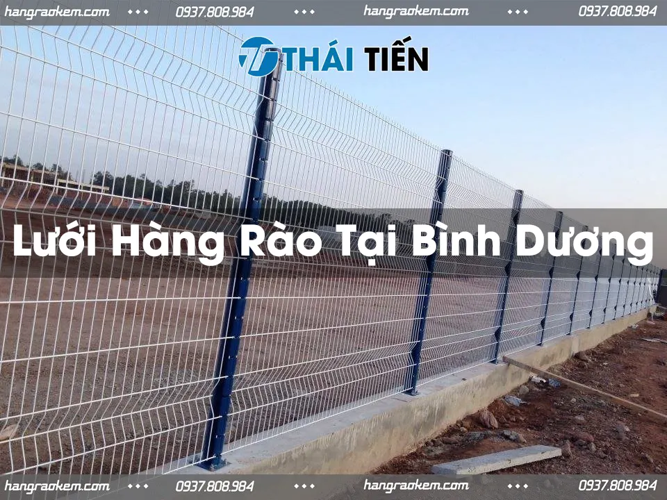 Lưới Hàng Rào Tại Bình Dương